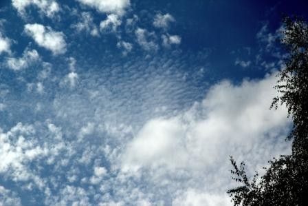 Ils se doivent d’éviter les émeutes à « TOUT PRIX ».