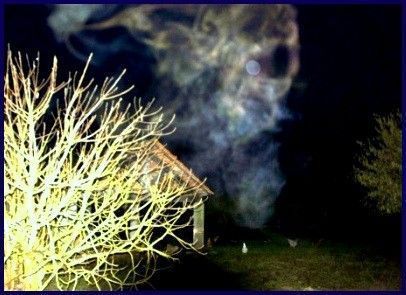 Fêtes païennes remise au goût du jour !