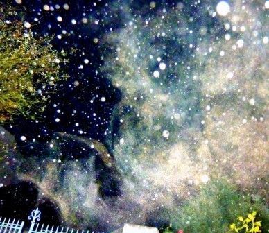 Une pluie de désinformations abreuve les esclaves (2)