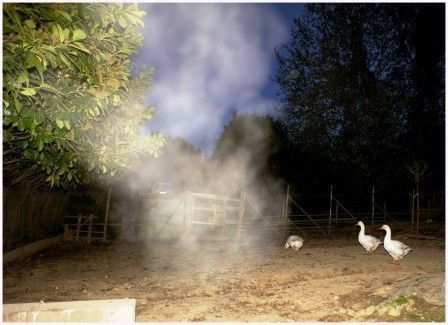 Ce monde expérimental n'a plus lieu d'ÊTRE.