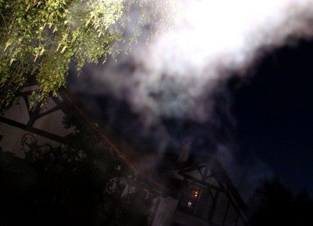 Les Rhésus amplifient fortement la division dans la matière.