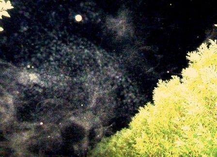 Lorsque HAARP berce vos nuits......