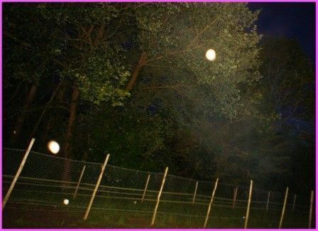 Journée de samedi douce mais avec un vent froid.