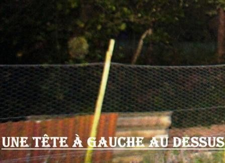 Les illusions vous sont données en pâture.