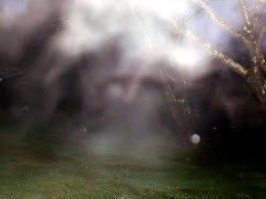 Chacun pour SOI et Dieu pour tous! ***