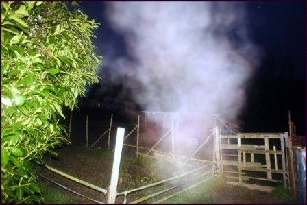 Bien venu à toi l'été, tu es un peu pâlichon, tu le sais ?