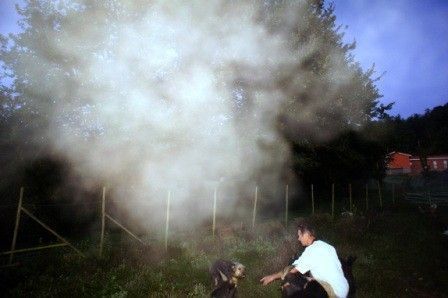 Les signes de la fin des temps SONT .