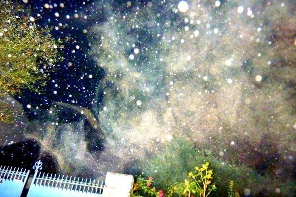 Alors, c'est quoi le bonheur pour Vous?(1)