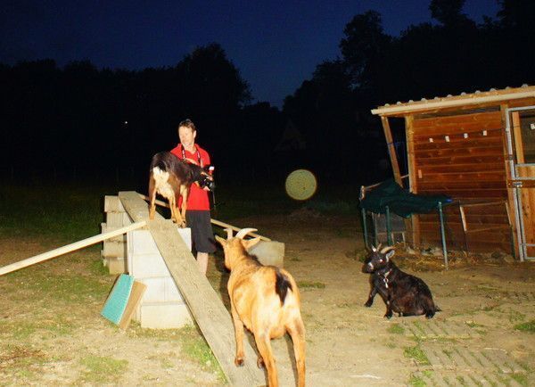 Quelques photos de ce soir 25/05/12.