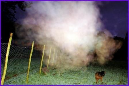 Ces catalogués "FOUS" sont tout simplement habités !