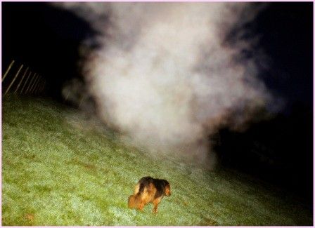 L’obscurantisme et ses multiples leurres.