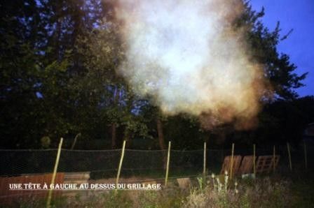 Les illusions vous sont données en pâture.