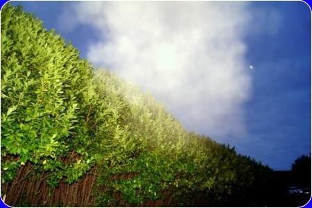 Seules des illusions vous sont données en pâture.