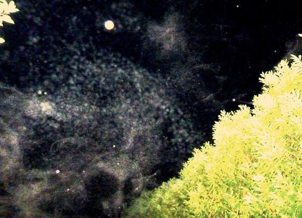 Évitez de vous faire manipuler dans votre sommeil.