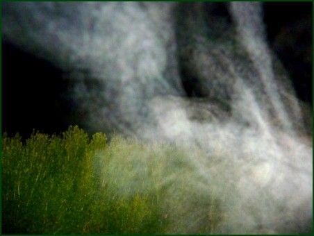 Enfinn encore une année de moins à Vivre,