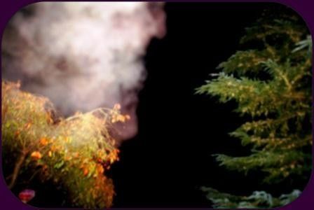 Le calme avant la tempête !