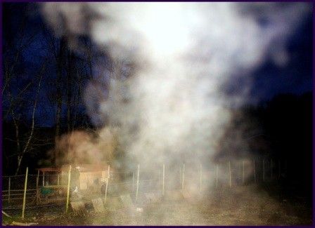 Derniers clichés expressifs.