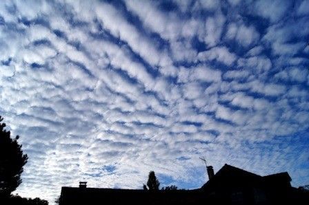 Les Dracos, vos « Pères de chaire » et les chemtrails,