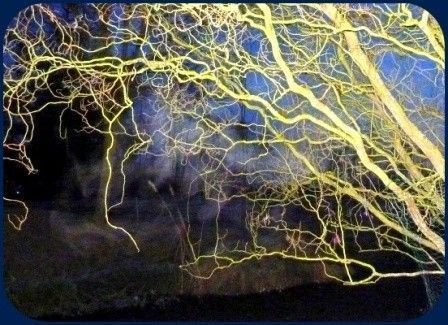 Miroir au mon beau miroir dis Moi !