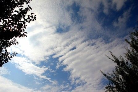 Les cristallisations en nous nous lestent des souvenirs.