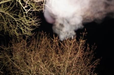 Des Fantômes portant des chaînes et traînant des boulets.