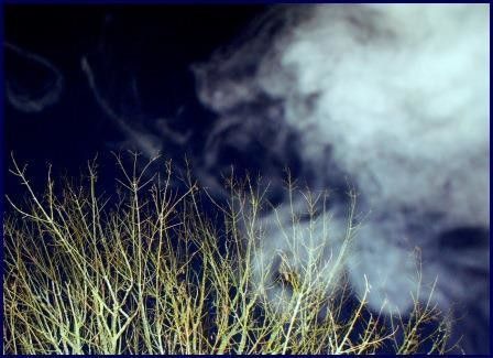 Journée de samedi douce mais avec un vent froid.