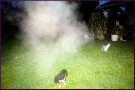 Clichés de ce soir du vendredi 14 février 2014.